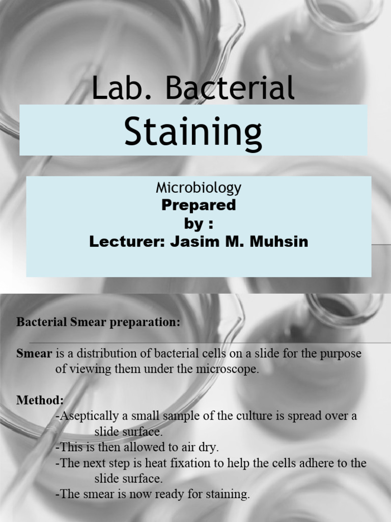 Bacterial Staining Techniques in Microbiology | PDF
