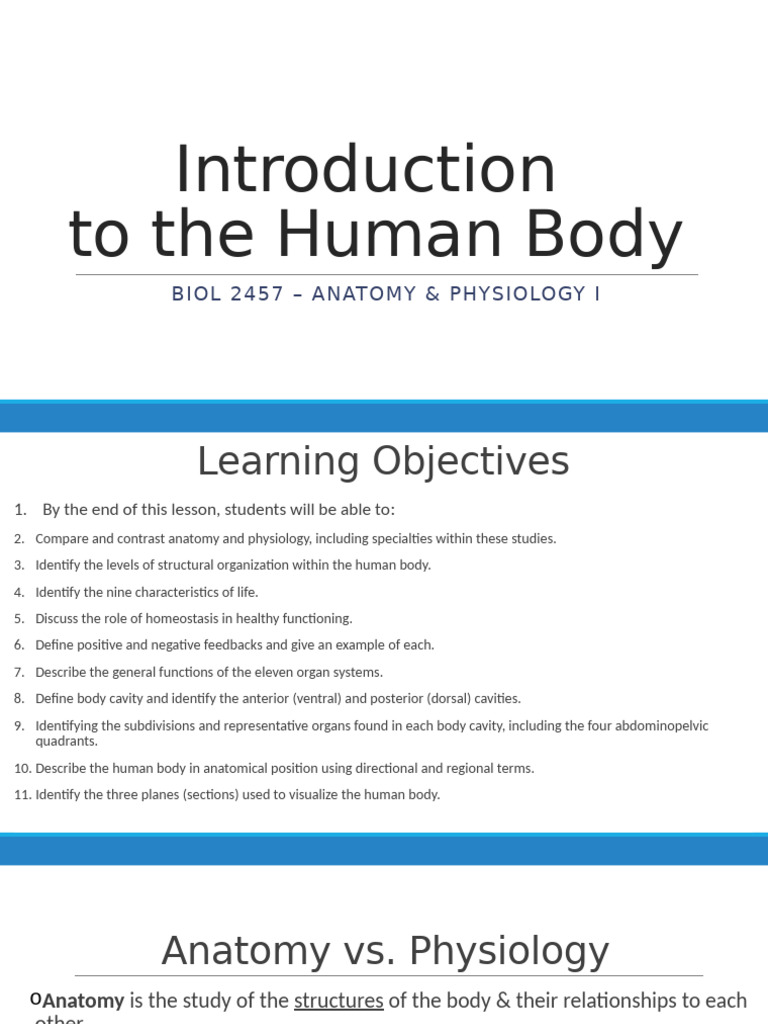 2457 - Module 1 - The Human Body | PDF | Anatomical Terms Of Location ...