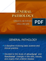 (GenPath) Cellular Injury