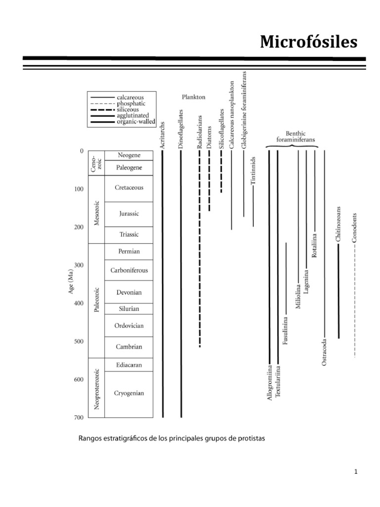 Clasificación y Morfología de Microfósiles | PDF