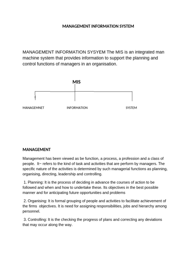 Management Information System Overview | PDF | System | Computer ...