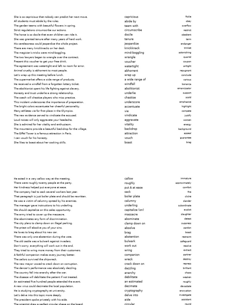 Vocabulary Synonyms and Definitions Guide | PDF