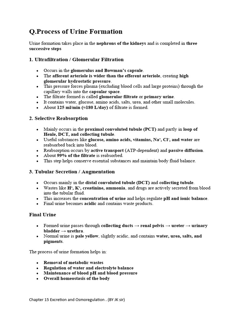 Urine Formation and Kidney Function | PDF | Kidney | Angiotensin