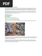 Download Making Great Garlic Powder by halalearth SN98278577 doc pdf