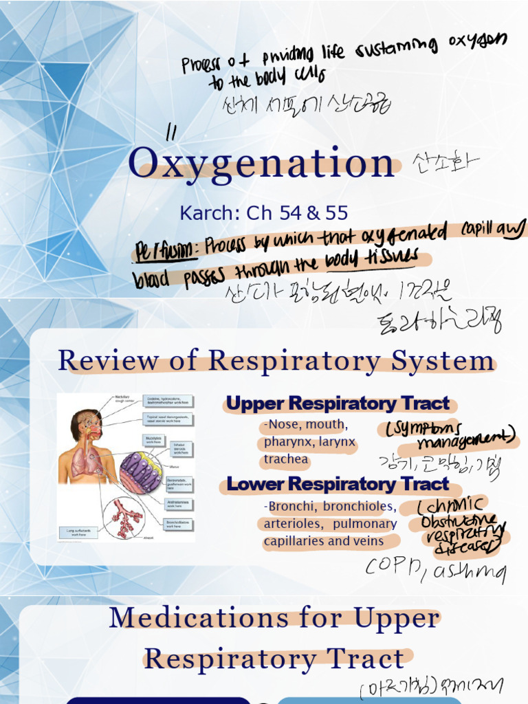 WEEK 4 Oxygenation+updated+Spring+2025 copy | PDF | Respiratory Tract ...