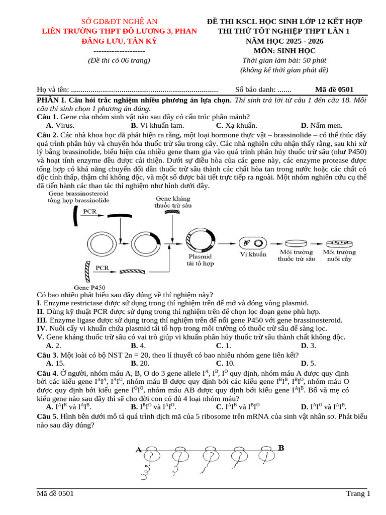 Ma de 0501 1 | PDF