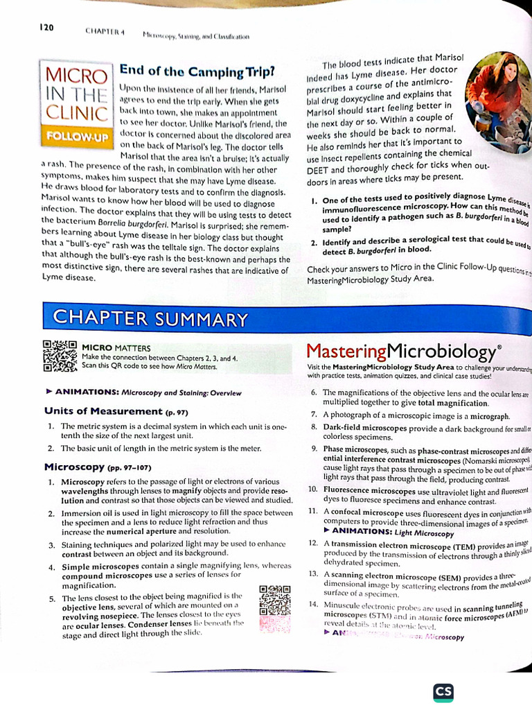Chapter 4 Summary Micros | PDF