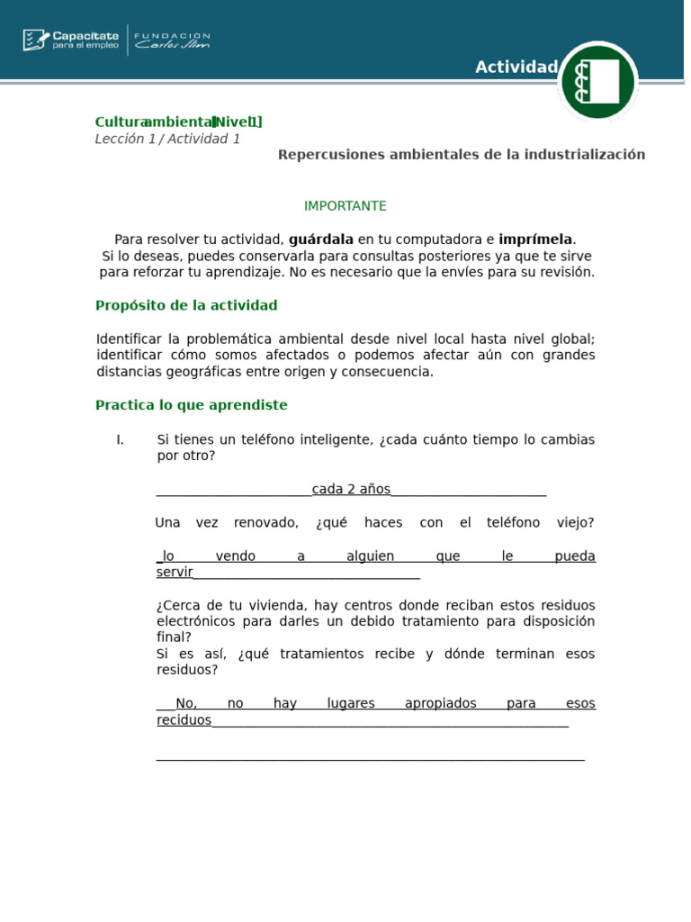 Problemas Ambientales Locales y Globales | PDF | Residuos | Vertedero