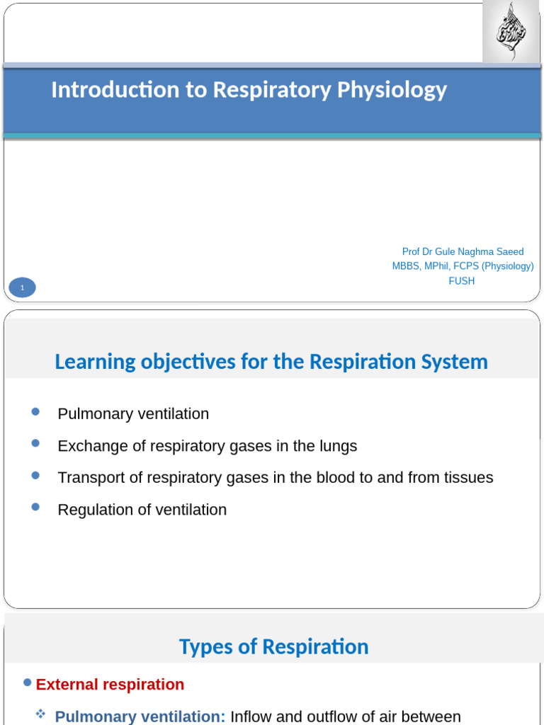 Introduction to Respiratory Physiology | PDF | Lung | Respiratory System