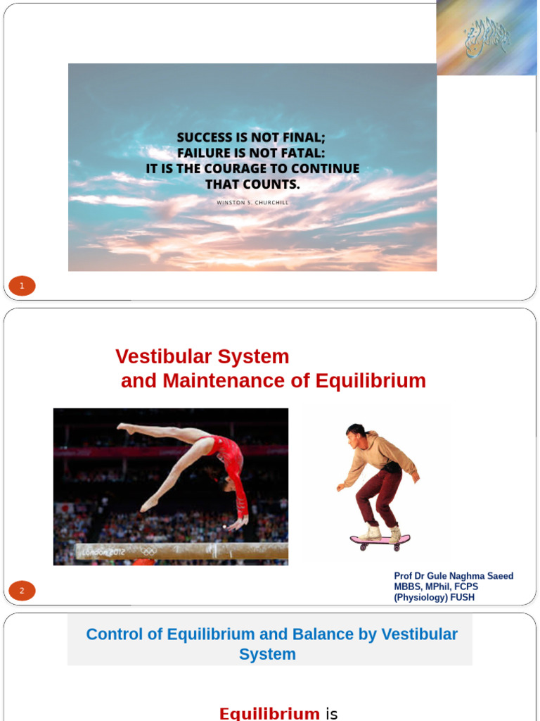 Vestibular System and Balance Control | PDF | Vestibular System | Ear