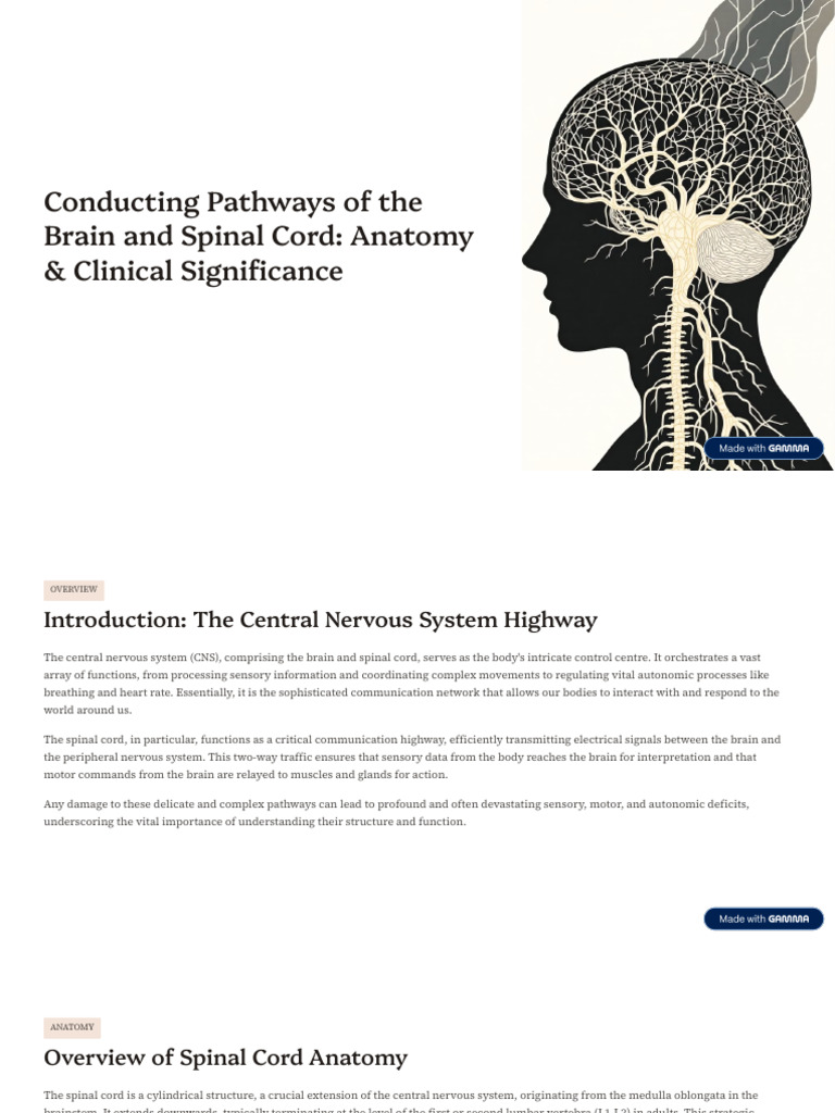 Conducting Pathways of the Brain and Spinal Cord Anatomy and Clinical ...