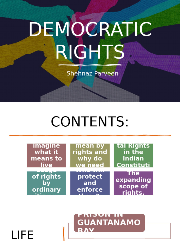Understanding Democratic Rights and Freedoms | PDF | Social Equality ...