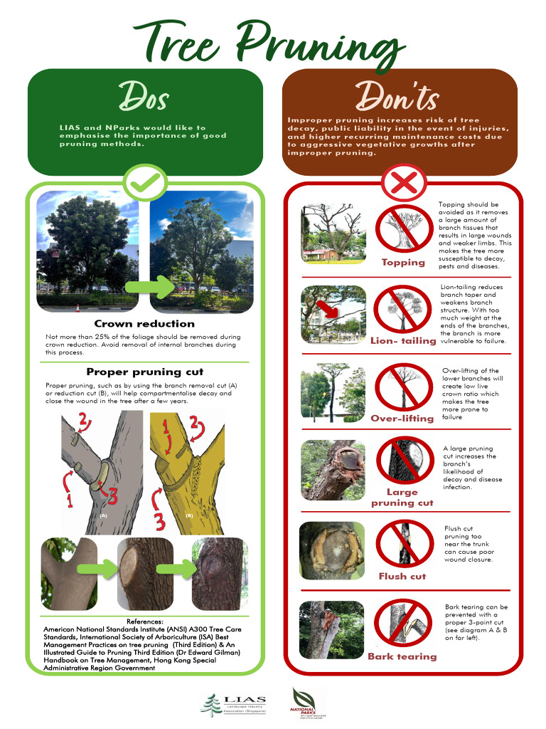 Tree Pruning Dos and Donts | PDF | Pruning | Horticulture
