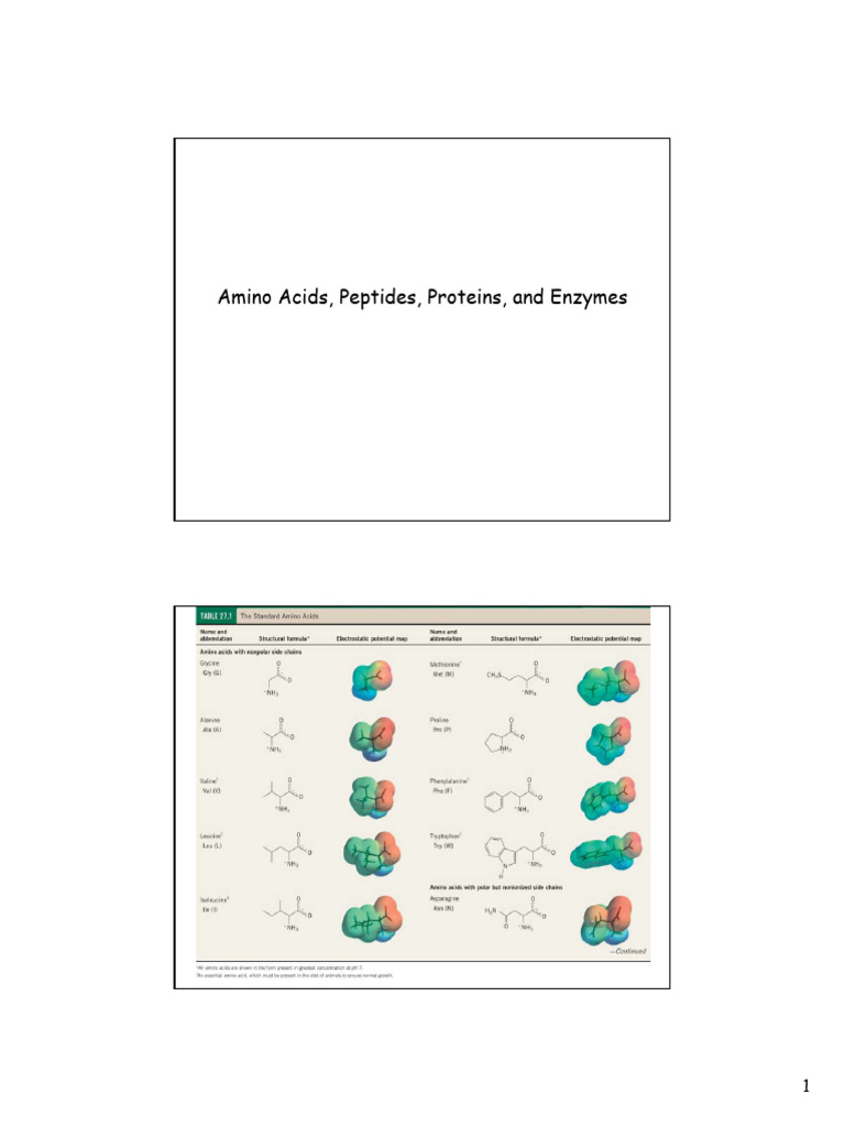 Understanding Amino Acids and Proteins | PDF | Alpha Helix | Amino Acid