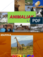 00-Animaliak - LH3