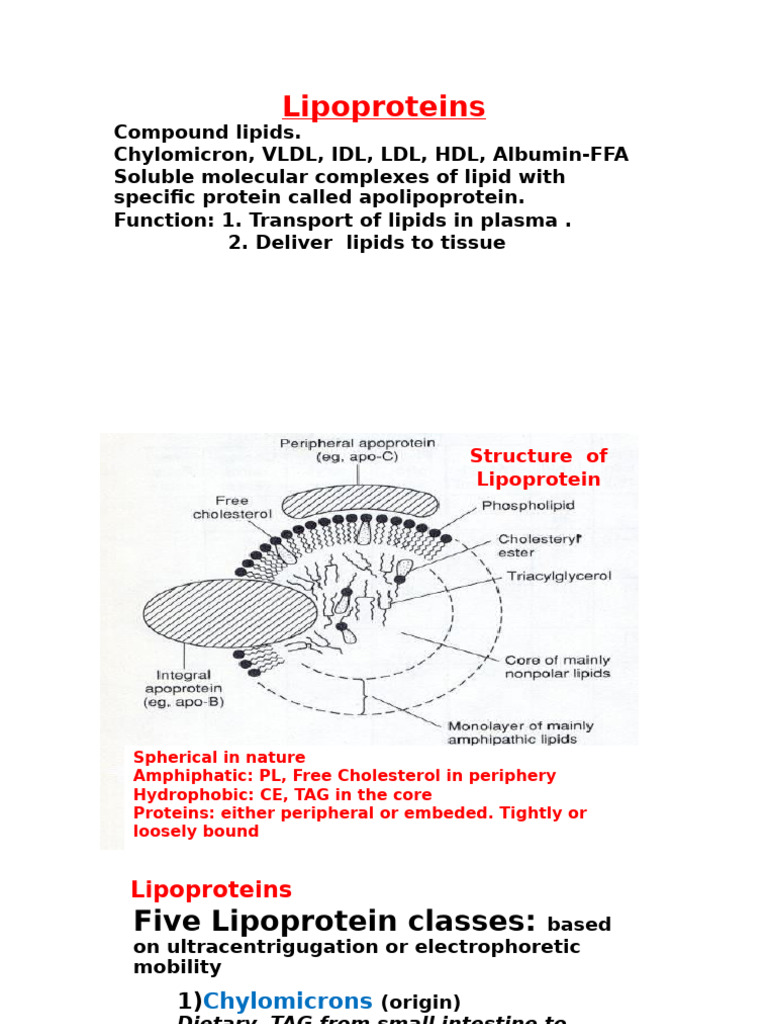 Lipopeotein for Students 2 | PDF | Lipoprotein | Low Density Lipoprotein