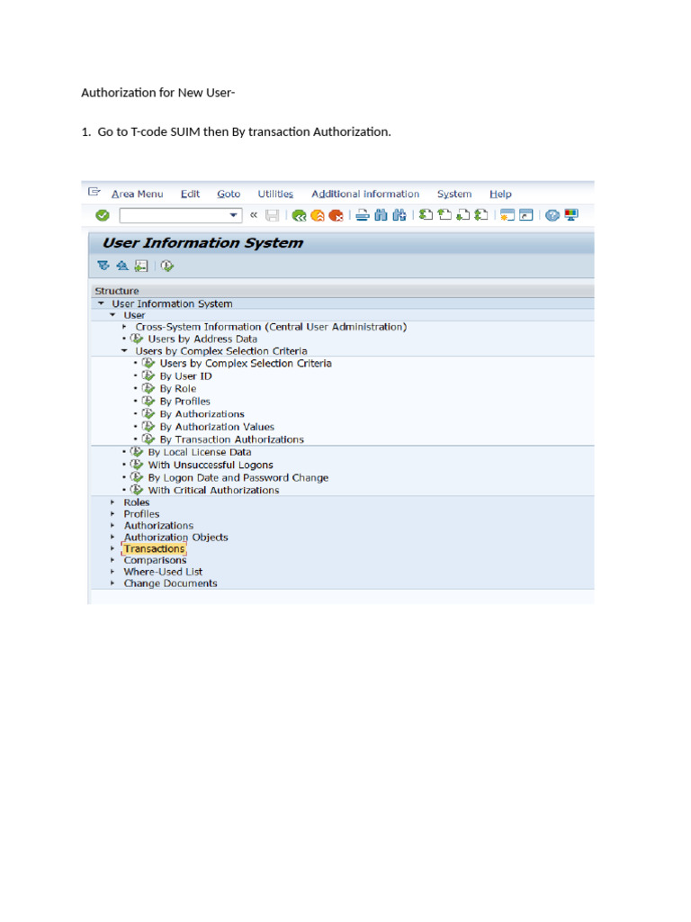 Authorization For New User | PDF