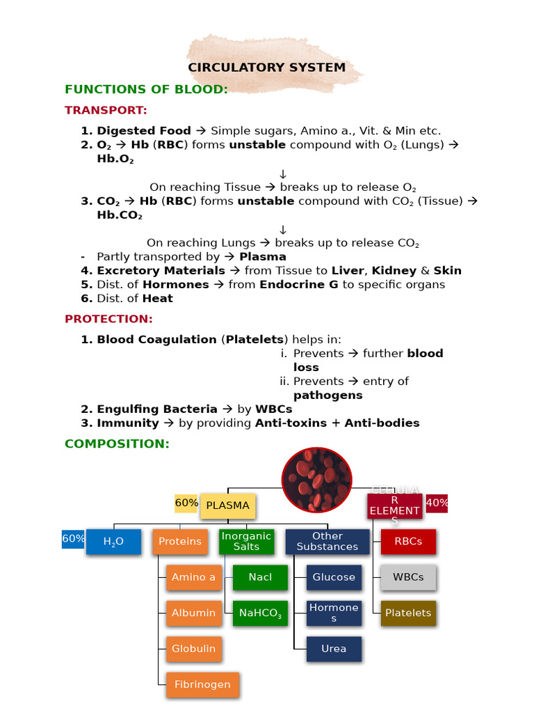 Functions and Composition of Blood | PDF | Heart Valve | Ventricle (Heart)