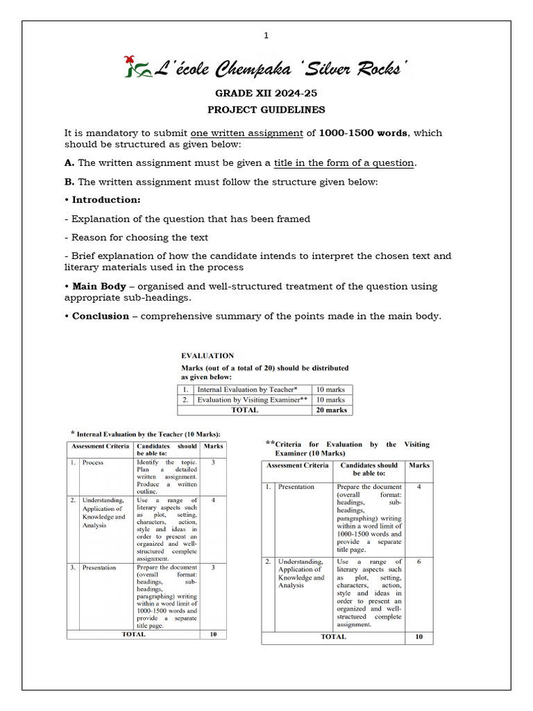 Grade XII 2024-25 Project Guidelines | PDF