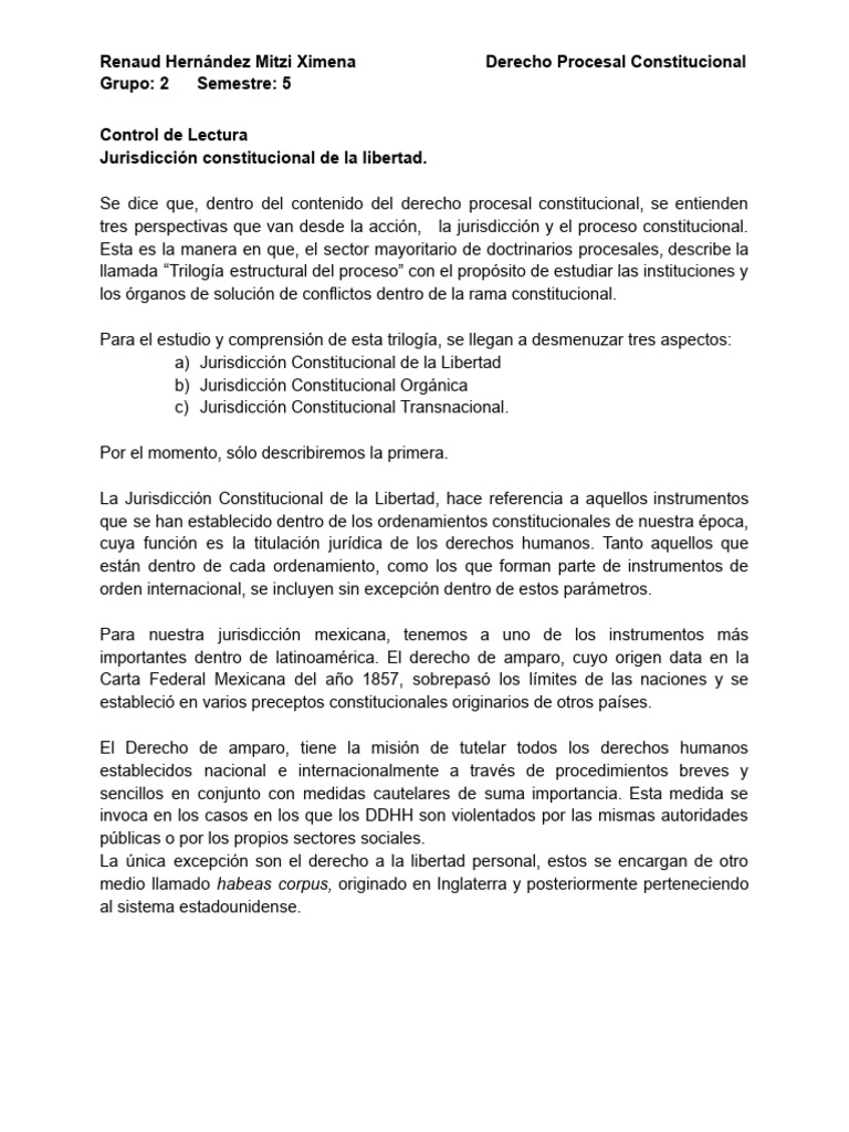 Jurisdicción Constitucional de la Libertad | PDF