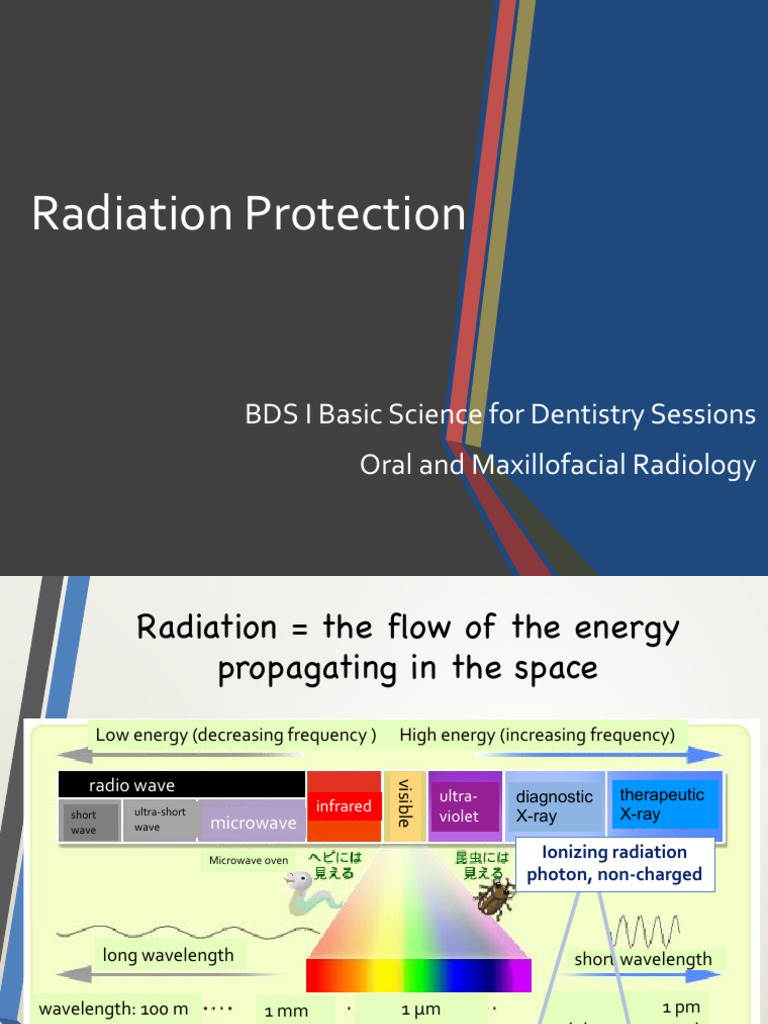 Understanding Radiation Protection in Dentistry | PDF | Ionizing ...