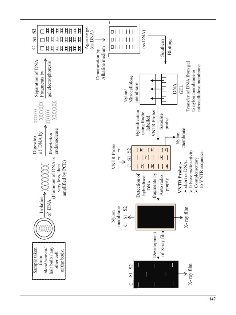 HGP | PDF