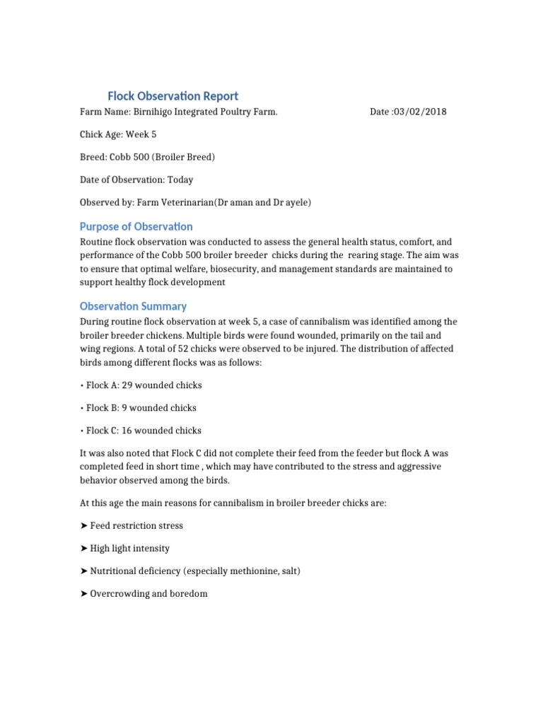 Flock Observation Report | PDF | Chicken | Broiler
