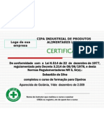 Certificado Do Curso de Cipa 2008