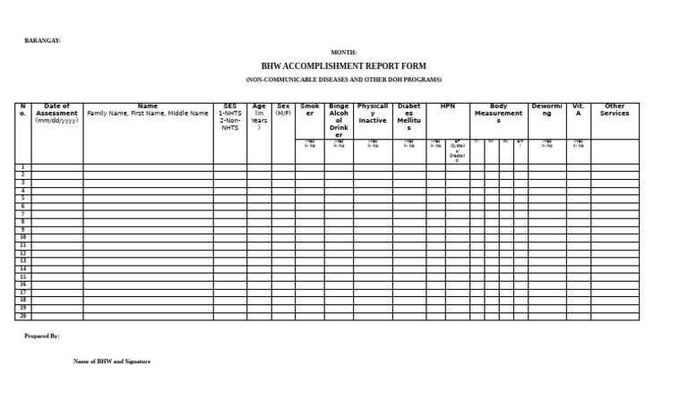 BHW Accomplishment Report Form | PDF