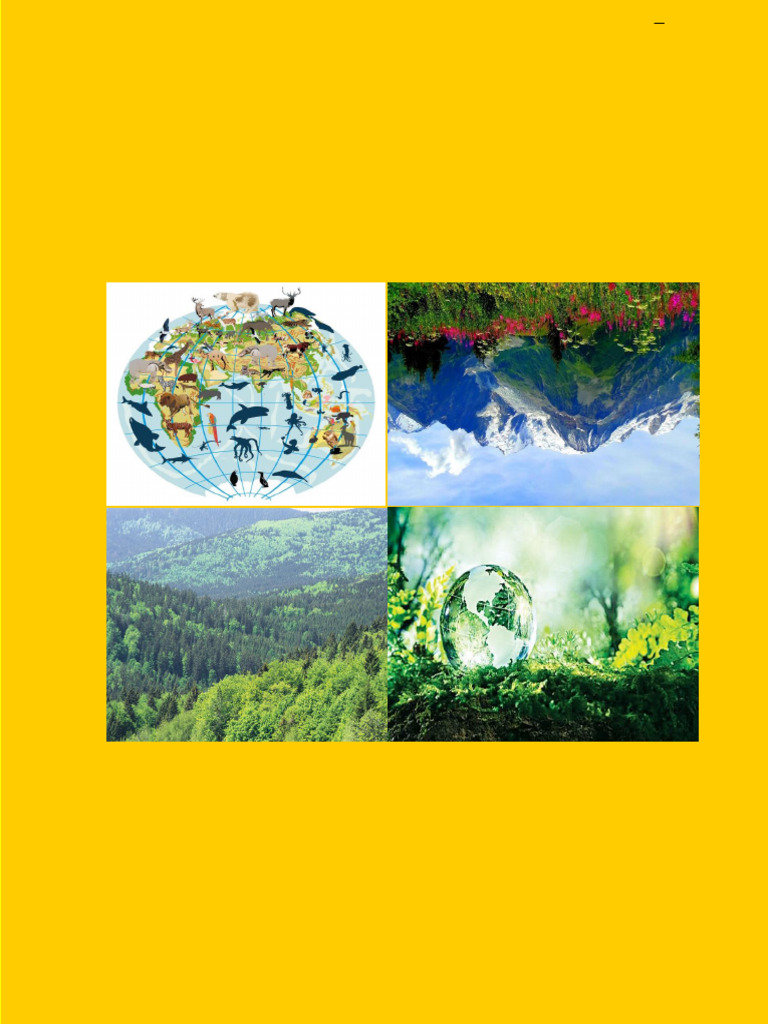 Bio-geography Course Overview | PDF | Biogeography | Ecology
