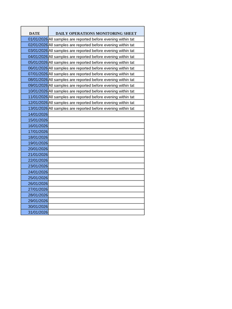 Daily Operations Monitoring Report | PDF