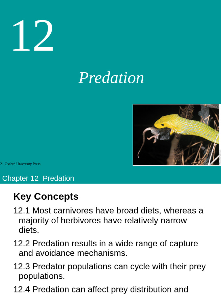 bowman5e_lectureppt_ch12 | PDF | Predation | Herbivore