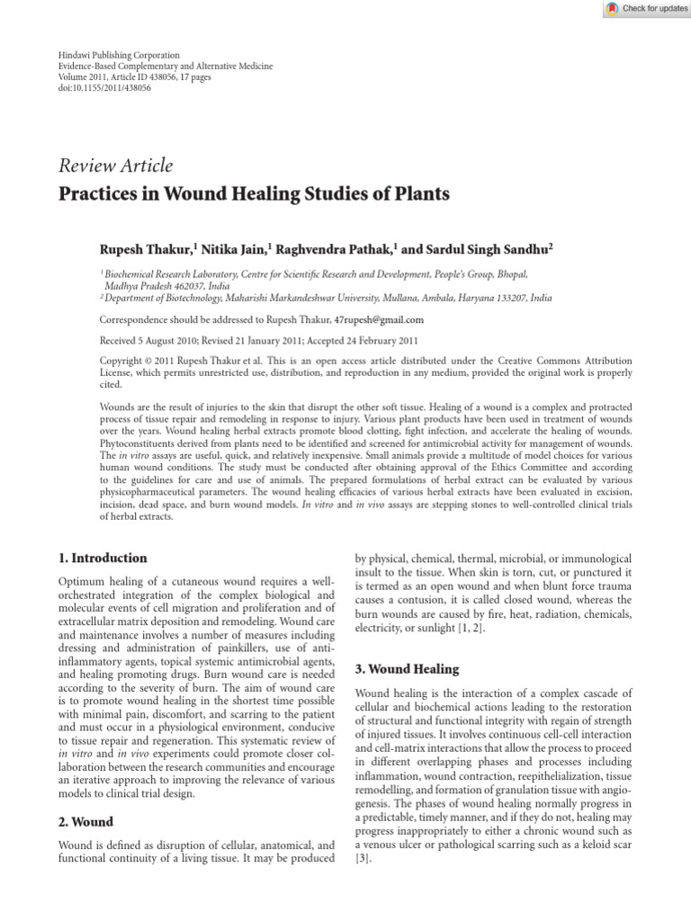 Plant-Based Wound Healing Practices | PDF | Surgical Suture | Wound Healing