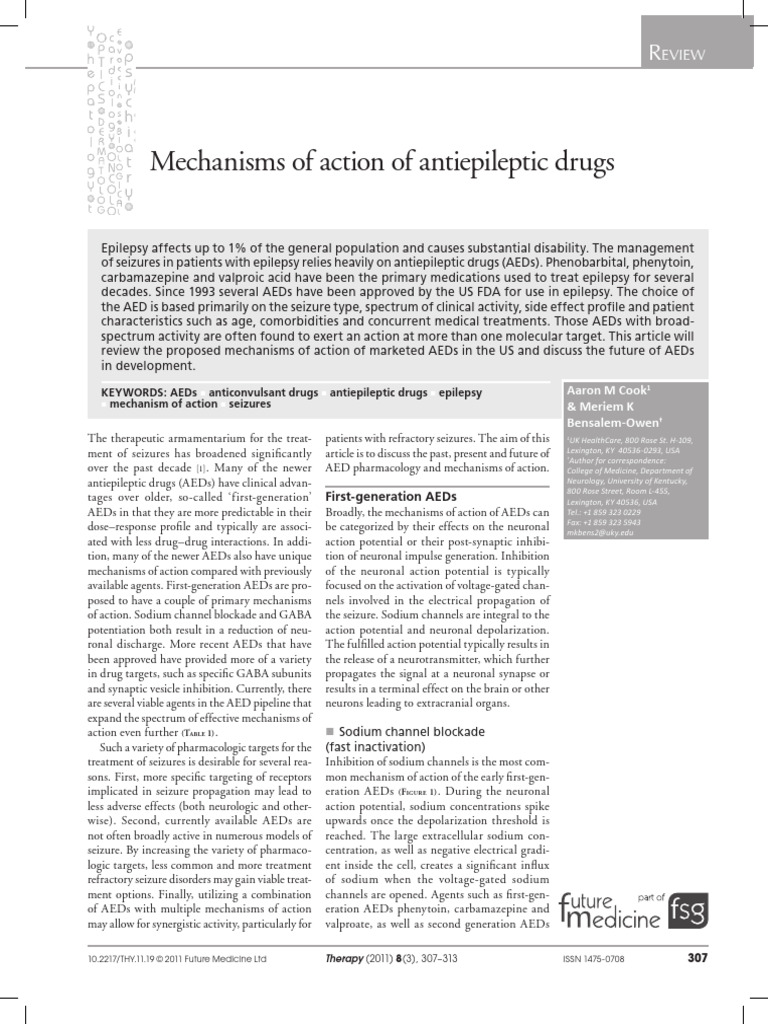 Antiepileptic Drug Mechanisms Explained | PDF | Inhibitory Postsynaptic ...