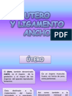 Utero y Ligamento Ancho Expo