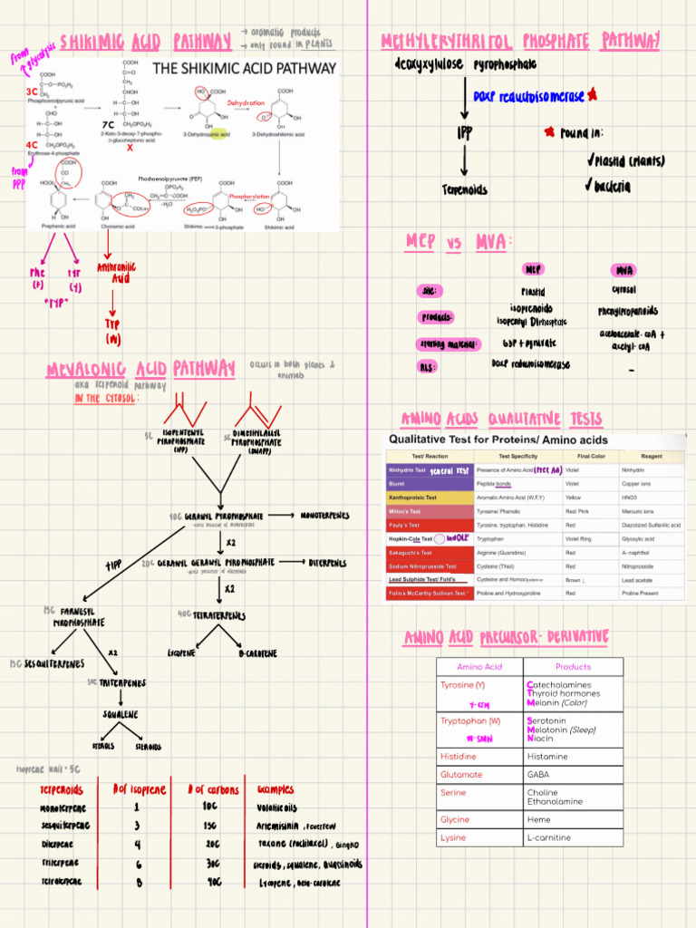 Mod 2-Gold Fish Memory (1) | PDF | Phosphorylation | Metabolism
