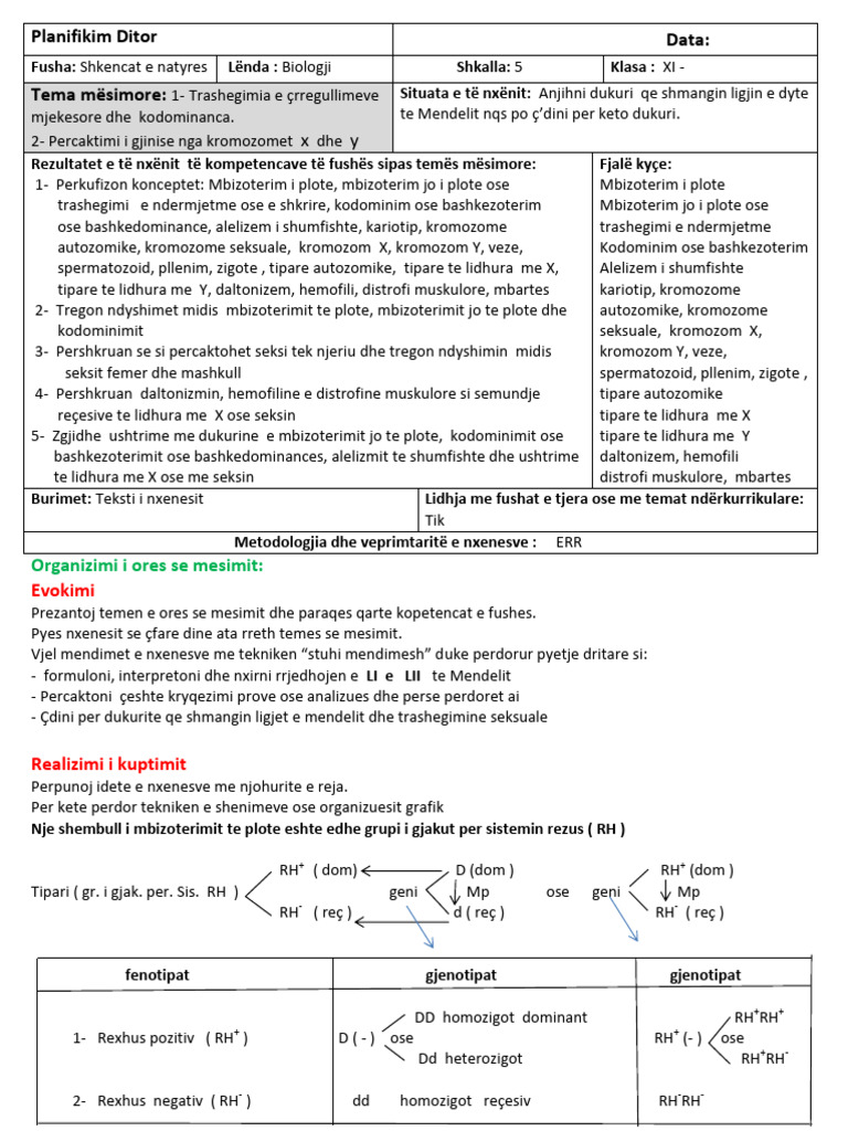 29 + 30 DITARI (1) | PDF
