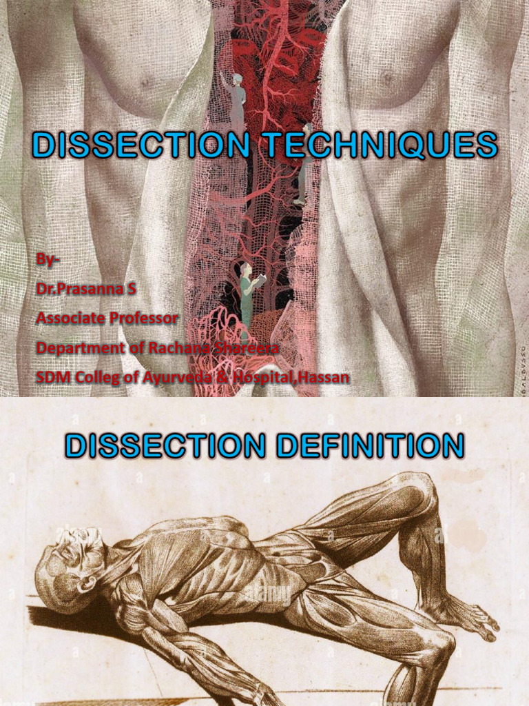 Dissection Techniques in Anatomy Education | PDF
