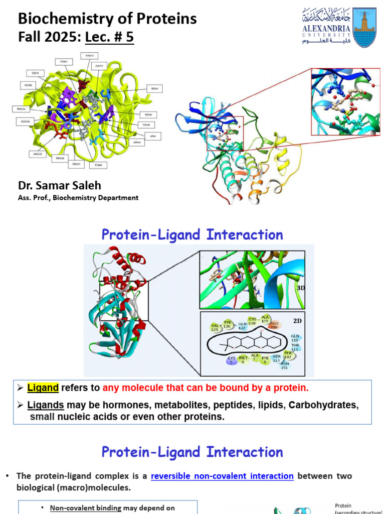 Protein-Ligand Interactions Explained | PDF | Antibody | Dissociation ...