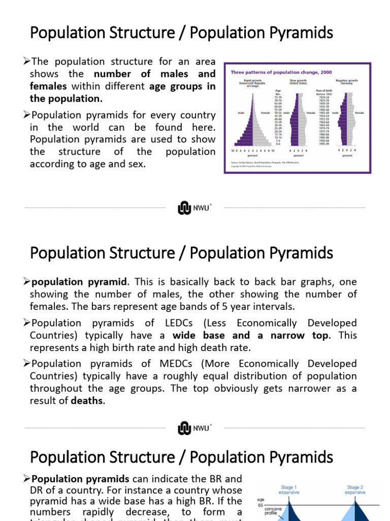 Understanding Population Pyramids | PDF | Economies
