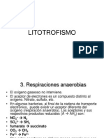 Litotrofismo