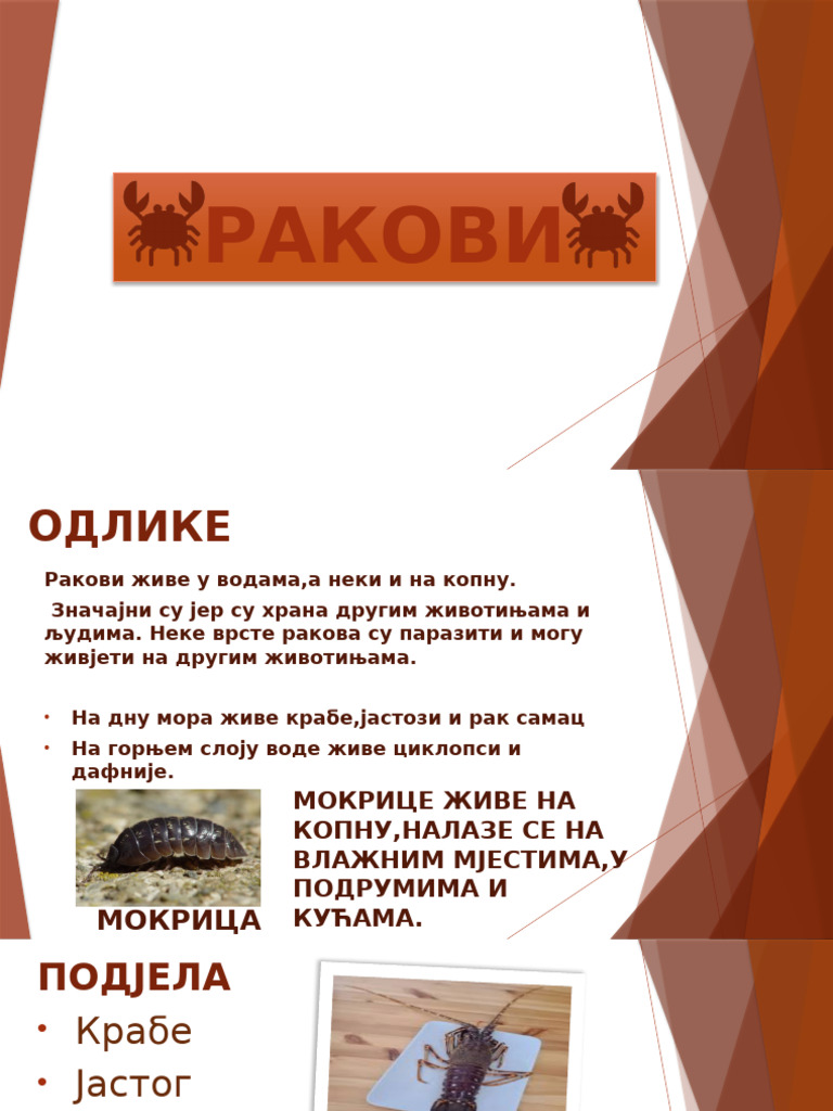 RAKOVI biologija | PDF