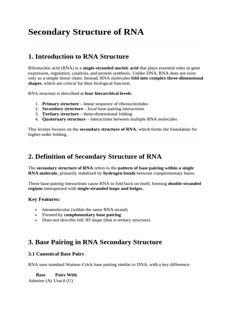 RNA Secondary Structure Explained | PDF | Rna | Base Pair