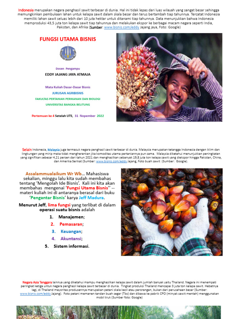 Indonesia: Raja Produksi Kelapa Sawit | PDF