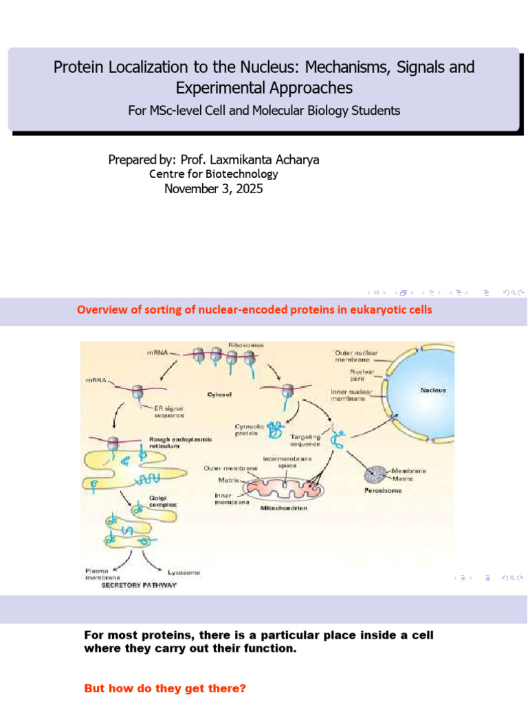 Nuclear Protein Localization Mechanisms | PDF | Protein Targeting ...