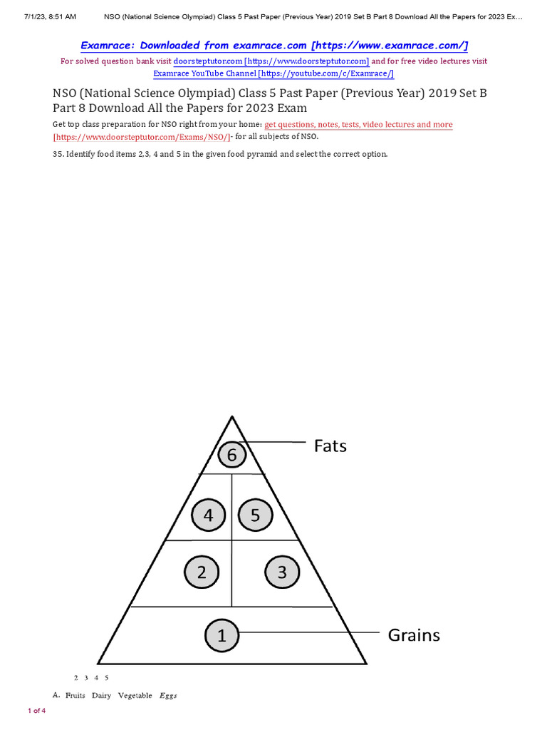 NSO Class 5 Past Paper 2019 Set B | PDF | Plants