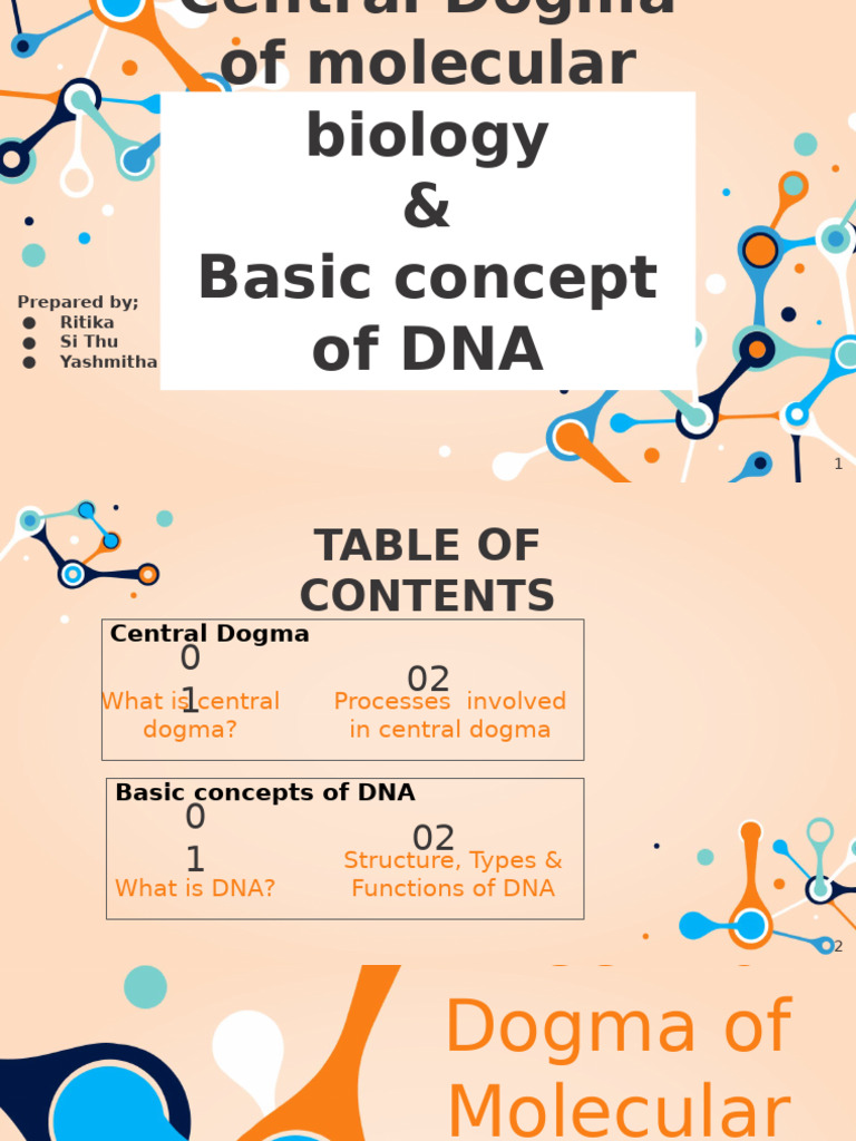 Central Dogma and DNA Basics Explained | PDF | Dna | Messenger Rna