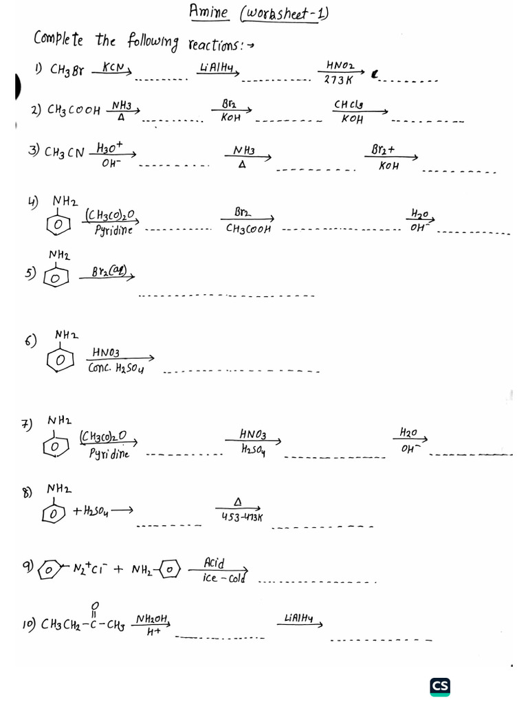Amine Worksheet - 1 | PDF