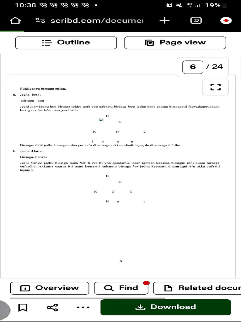 Attachment | PDF