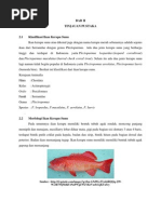 Download kerapu sunu by Christin Jelita Nababan SN98314083 doc pdf